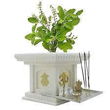 Planters Online