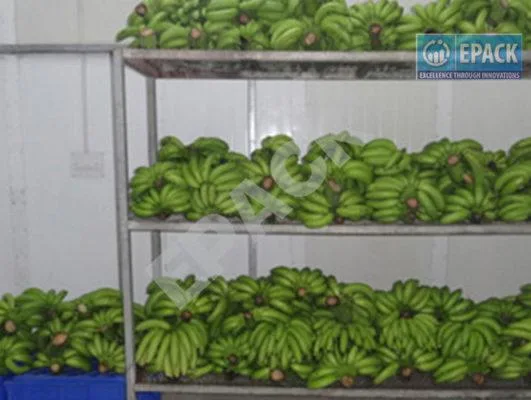 Banana Ripening Chamber &ndash (91)-8130444466 &ndash EPACK