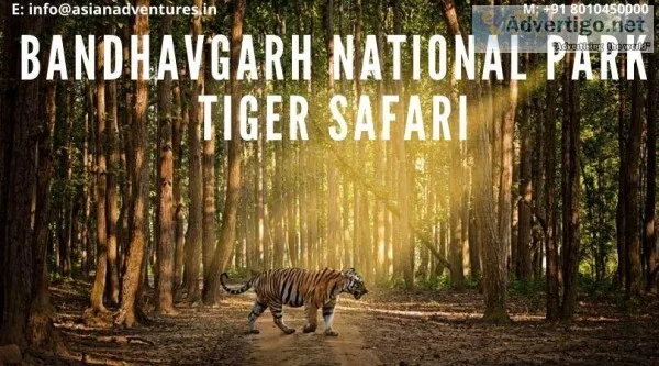 bandhavgarh national park tours and package