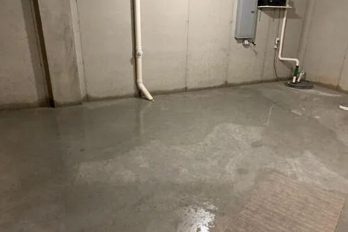 Water Restoration and Removal in Green Bay WI