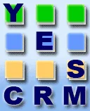 CRM Software Solutions Customizations and Integration Services