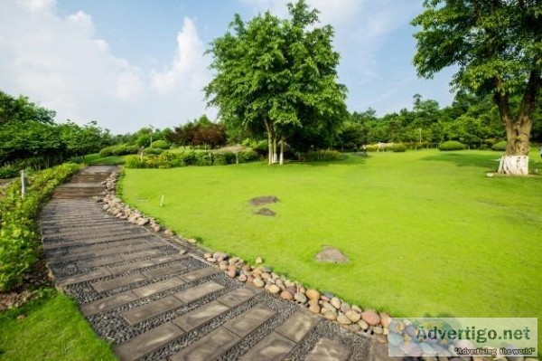 Types of Grass and How to Choose The Best Type for Your Lawn