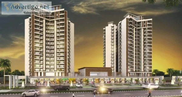 Radiant Payment Plan 204040 in Ace Divino  8750-488-588
