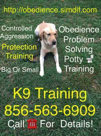 perfect k9 obedience dogggg