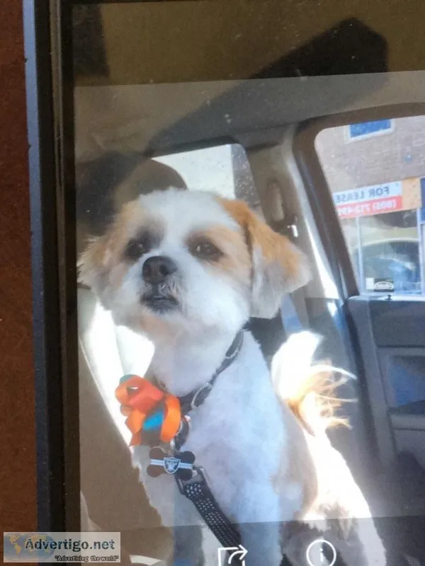 A little boy who needs a good home
