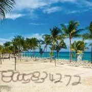 Travel AgencyTravel Agent