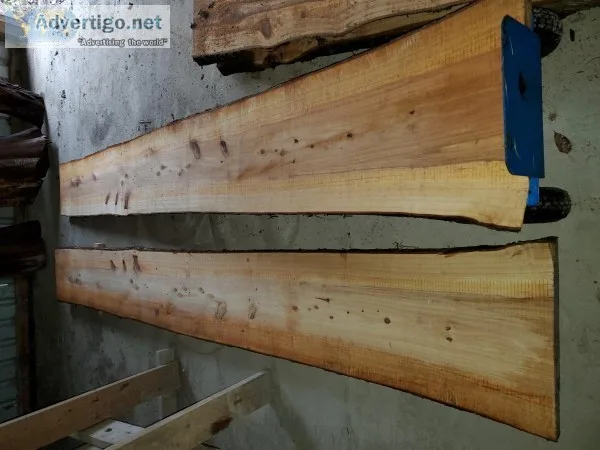 Cypress slabs