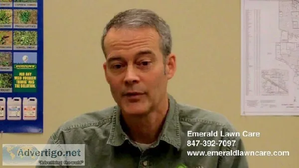 Emerald Lawn Care Service within Your Budget