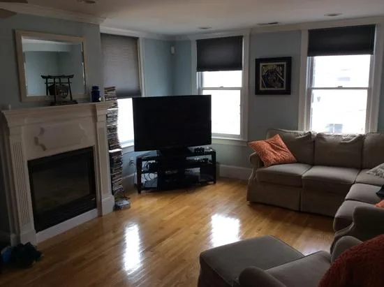 Newly Furnished 1 Bedoom Apt For Rent