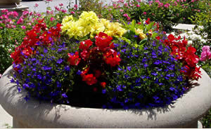 Get Landscape Designs In San Jose