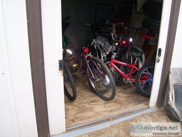 SEVERAL BUKES to CHOOSE FROM