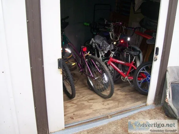 SEVERAL BUKES to CHOOSE FROM