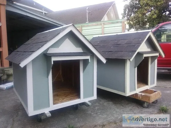 new dog houses