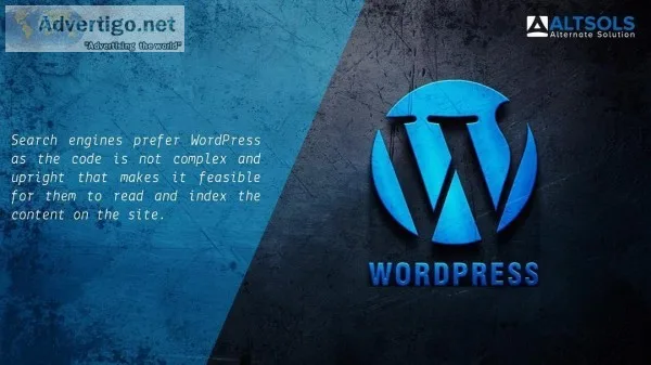 Best Wordpress website Development Company in Noida