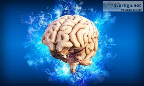 Neurologist in Florida