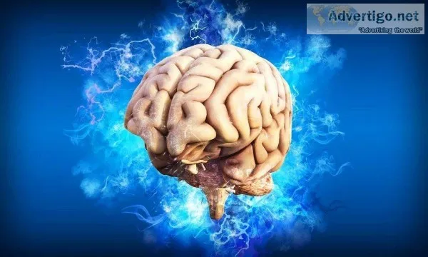 Neurologist in Florida