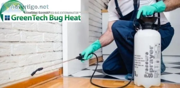 Bed Bugs Solution in Toronto