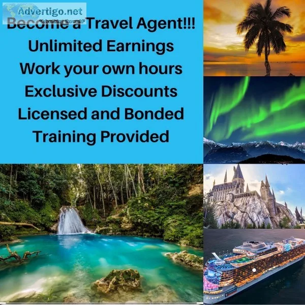 Travel Coordinator