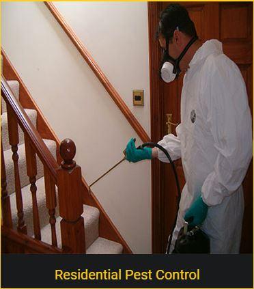 Residential Pest Control  Services in Bangalore - Pestron India