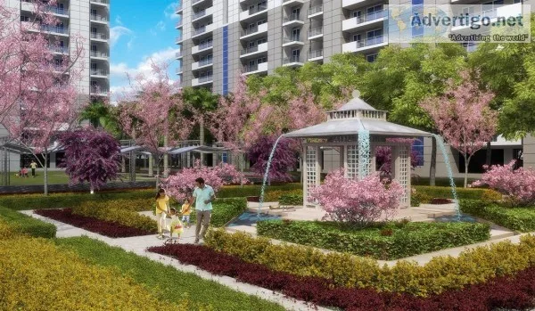 DLF Ultima  3 BHK Apartments in Gurgaon