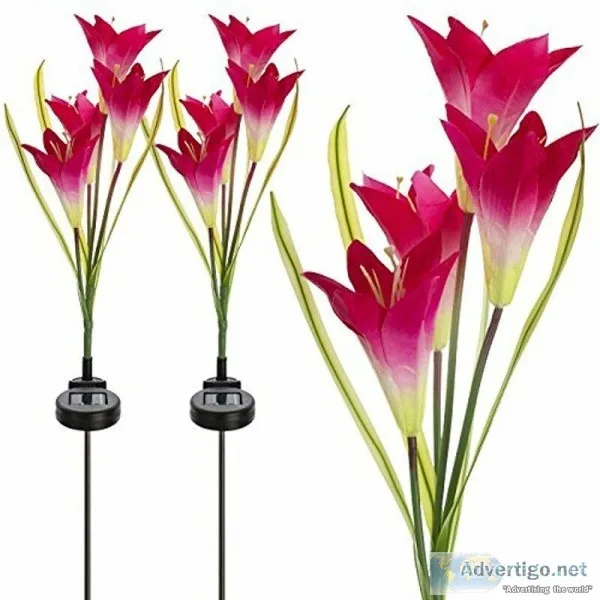 Buy 2 Piece solar Flower Garden Stakes at Best Price-Solarmyplac