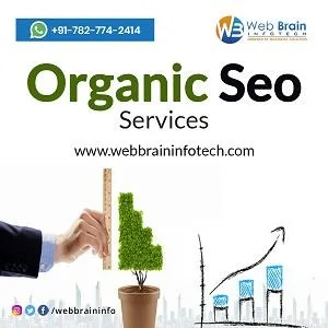 Organic Seo Services