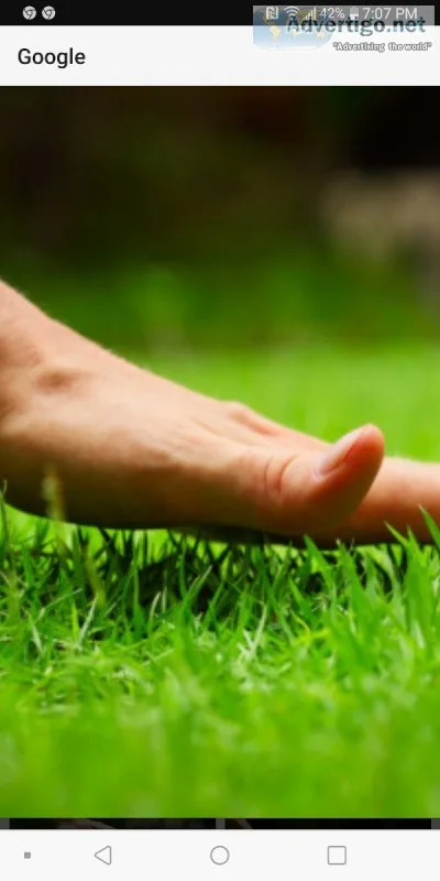 Wyatts Express Lawn Service