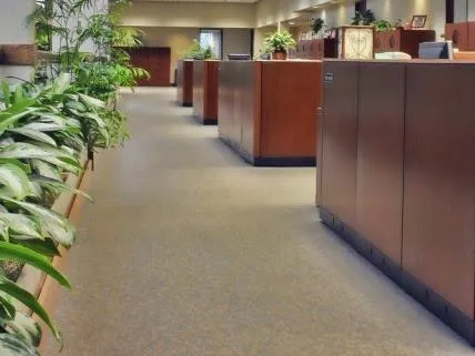 5 Stars - Commercial and Residential Cleaning Service in Ashland