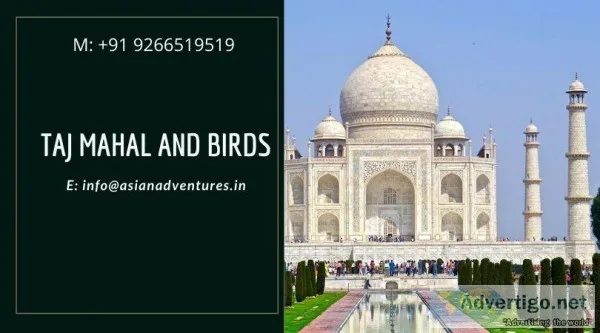india bird watching tours