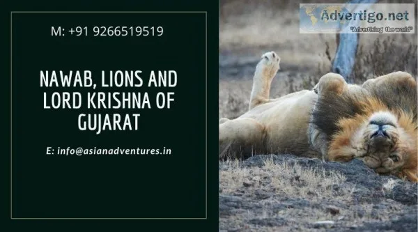 Gujarat Birding Tours