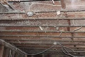 Mold Removal Near Floyd-allmoldsolutio ns