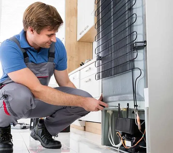 Get Best Refrigerator Repair Service in Gurgaon  Same Day Servic