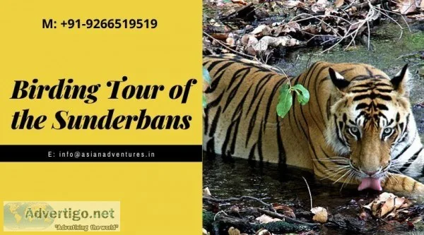 bird watching tour india