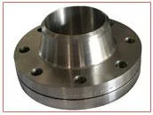 Nickel Alloy 200 Flanges