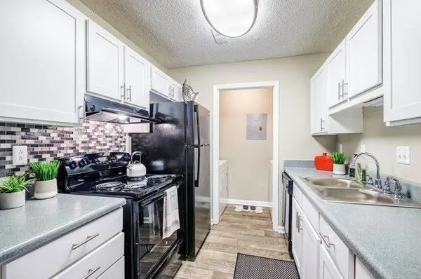 TWO BEDROOM TWO BATHROOM AVAILABLE IN MAY