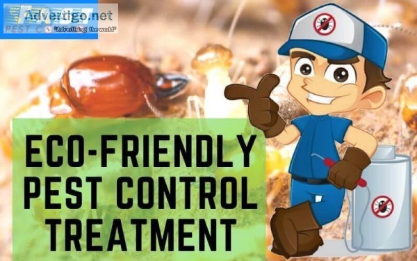 Pest Control Caboolture
