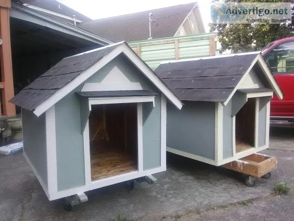 new dog houses