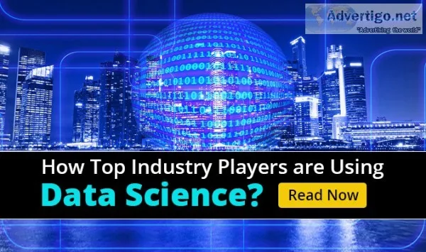 Data science courses by intellipaat