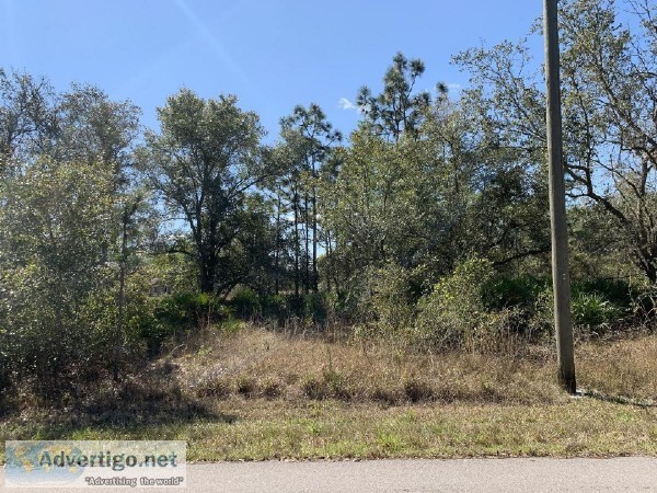 0.28 Acres for Sale in Punta Gorda FL