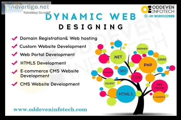 Looking for Web Design and Development Company
