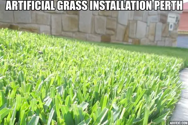 Install Best Turf of Green in Perth