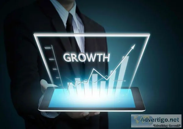 Digital Mathur a Digital Marketing Consultant in Delhi