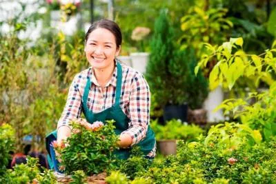 Lawn Mowing Business in Perth - Malaga Gardening and Mowing