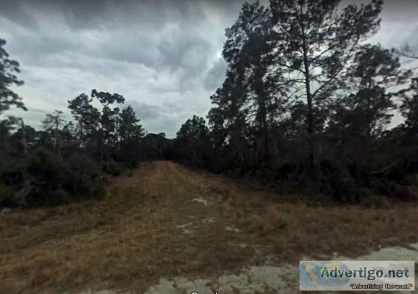 6 Lots for Sale in Avon Park FL