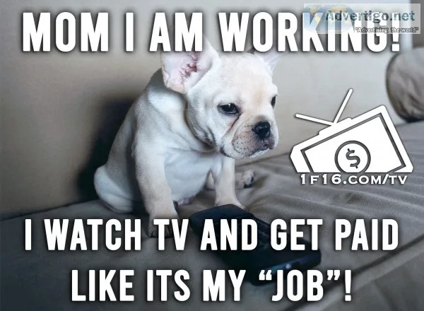 Get paid to watch tv the more you watch, the more you earn