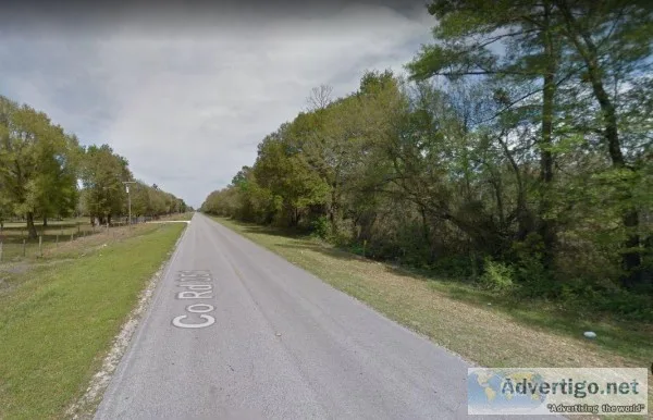 2 Acres for Sale in Cross City FL - Owner Finance