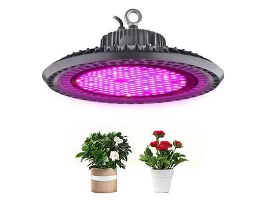 Plant Grow Lights