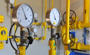 Affordable Gas Regulator  Niche Gas Products