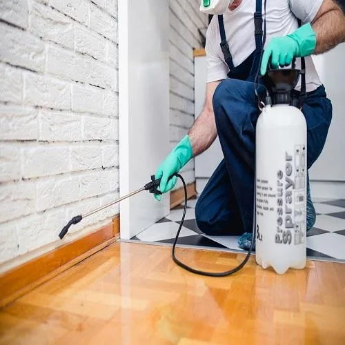 Pest Control Services in Grants Pass or  Safe Termite and Pest C