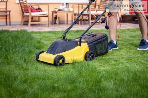 Professional Landscaping Service In Chicago